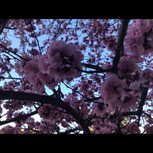 Meet your Posher, Ingrid